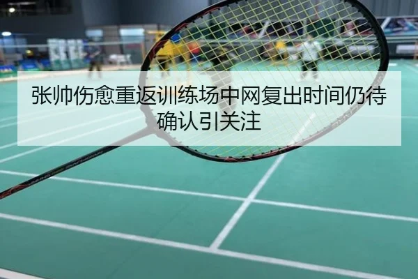 张帅伤愈重返训练场中网复出时间仍待确认引关注
